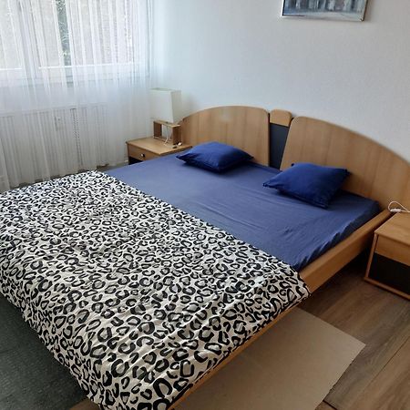 3 Zimmer Apartment In Saint Louis, Nahe Euroairport Екстериор снимка
