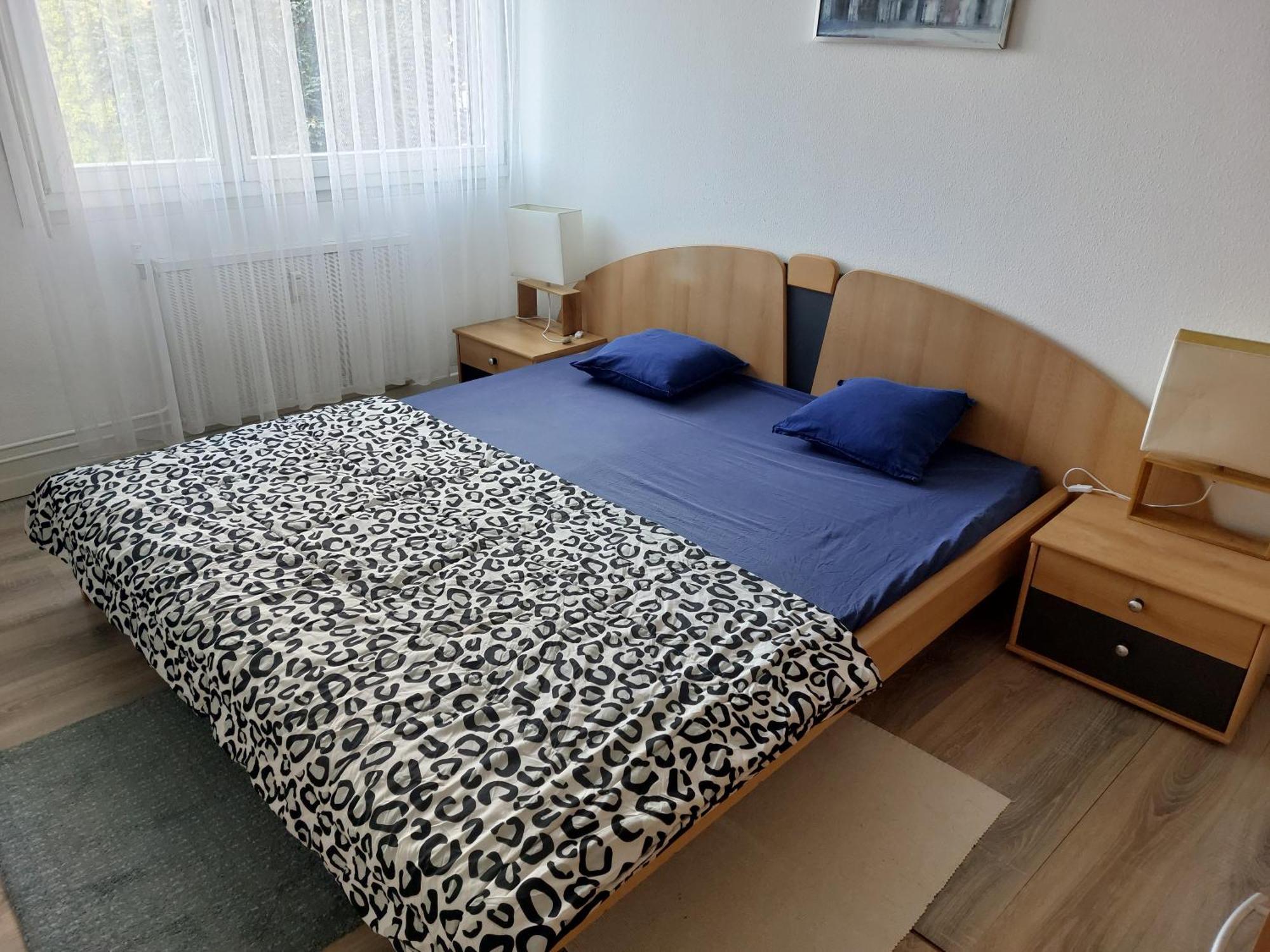 3 Zimmer Apartment In Saint Louis, Nahe Euroairport Екстериор снимка